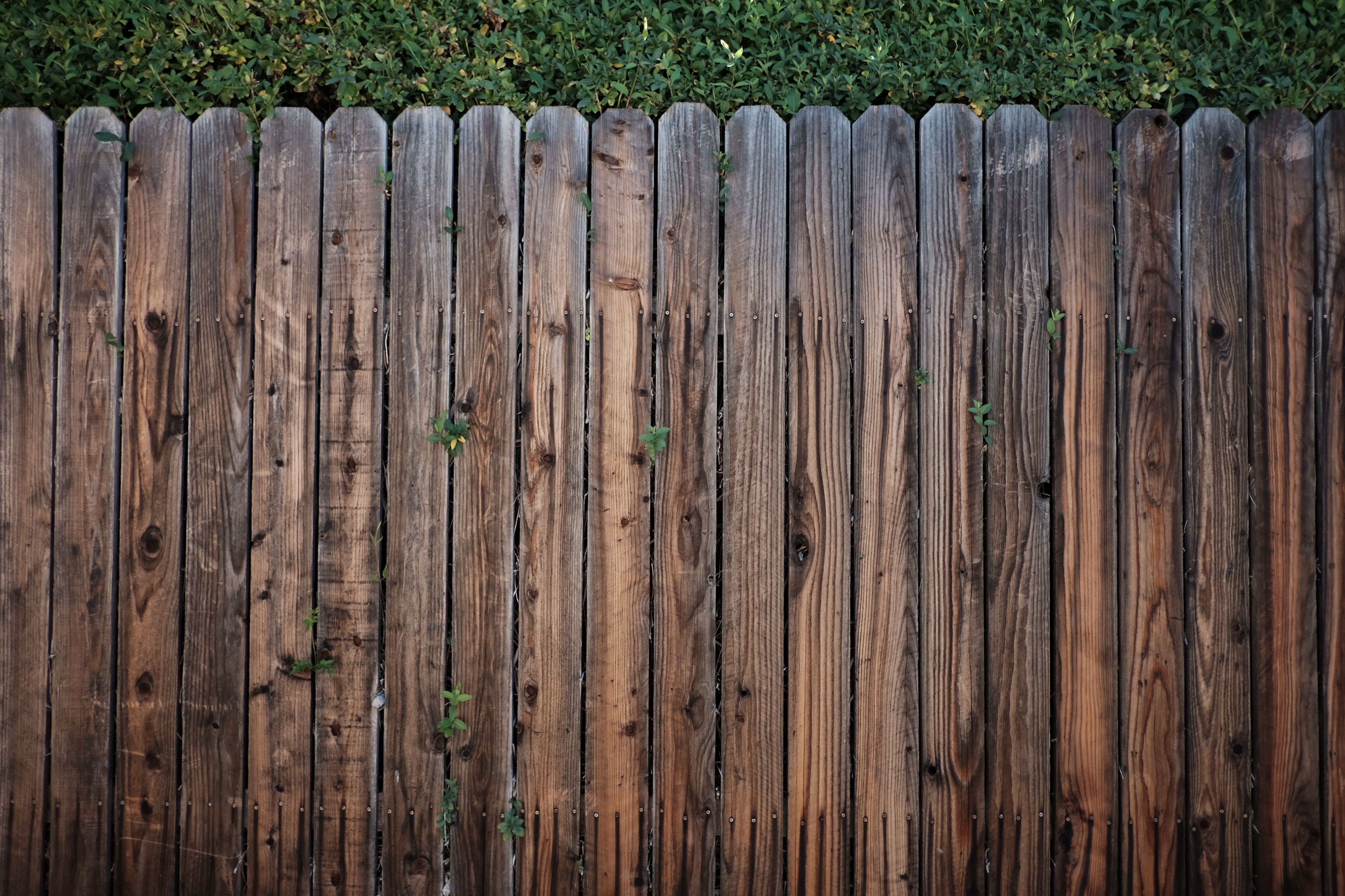 Wood fence installation by JDB Home Solutions in Springfield IL yard